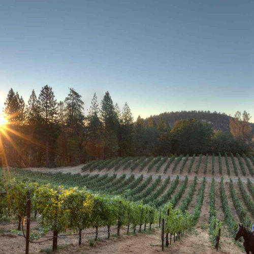 Historic Charm, Local Art, and Lakeside Nights in Lake County Await